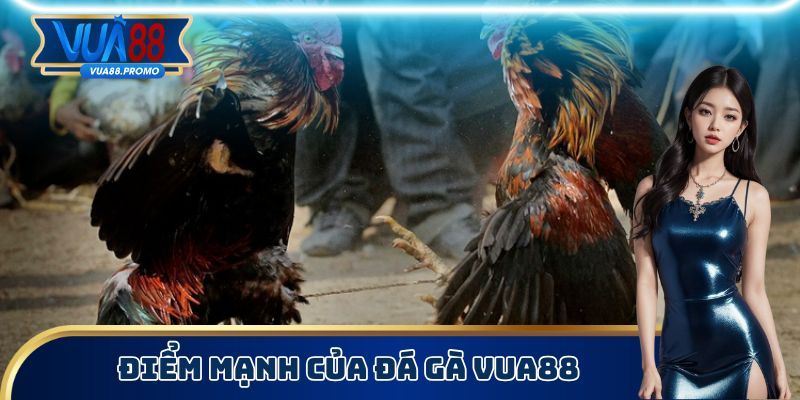 Đá Gà Vua88 - Nghiên Cứu Kỹ Càng Về Luật Chơi Chính Xác 1 Điểm mạnh của đá gà Vua88