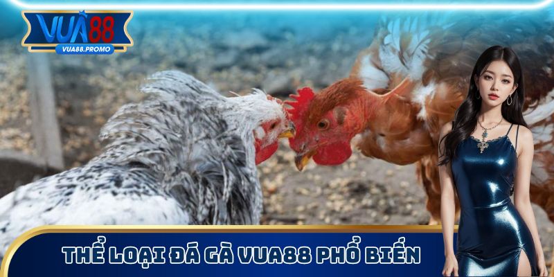 Đá Gà Vua88 - Nghiên Cứu Kỹ Càng Về Luật Chơi Chính Xác 3 Thể loại đá gà Vua88 phổ biến