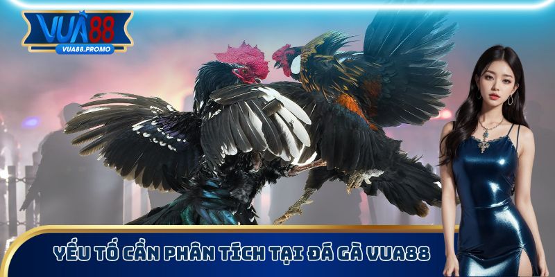 Đá Gà Vua88 - Nghiên Cứu Kỹ Càng Về Luật Chơi Chính Xác 4 Yếu tố cần phân tích tại đá gà Vua88